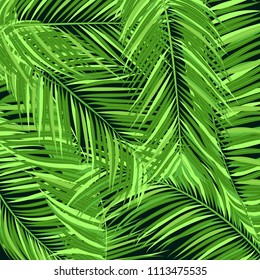 Green Palm Branches in Various Forms. Tropic Foliage. Illustration of Jungle Plants. Vector Palm Leaves. Floral Elements Set. Detailed Palm Leaves for Pattern, Wallpaper, Print or Your Creative Design