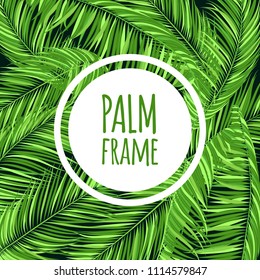 Green Palm Branches in Various Forms. Tropic Foliage. Illustration of Jungle Plants. Vector Palm Leaves. Floral Elements Set. Detailed Palm Leaves for Pattern, Wallpaper, Print or Your Creative Design