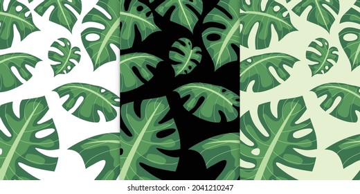 Green palm exotic and tropical  or summer leaves in isolated vector illustration