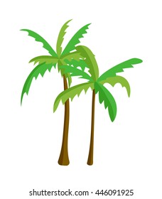 Green palm isolated on white background