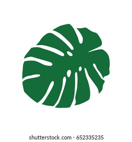 Green palm leaf
