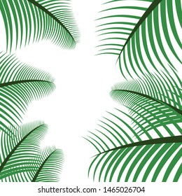 green palm leaf background vector illustration