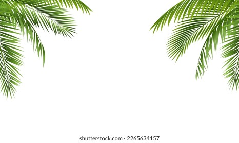 Green Palm Leaf Border Isolated And White Background 
With Gradient Mesh, Vector Illustration
