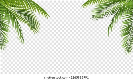 Green Palm Leaf Border Isolated And Transparent Background  With Gradient Mesh, Vector Illustration