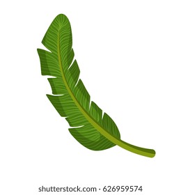 Green palm leaf. Colorful cartoon vector Illustration