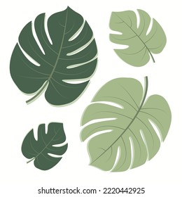 Green palm leaf design element tropical vector