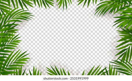 Borda verde do quadro da folha da palma com silhueta da sombra no fundo transparente, Elemento Isolado Tropical Coconut Leaves sobreposição para fundo da parede, Decoração do objeto da natureza do vetor para banner de verão 	
