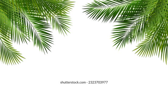 Green Palm Leaf Frame And Isolated White Background
With Gradient Mesh, Vector Illustration