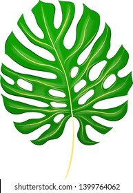 green palm leaf with holes