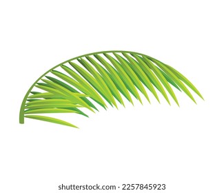 Hoja de palmera verde aislada en fondo blanco