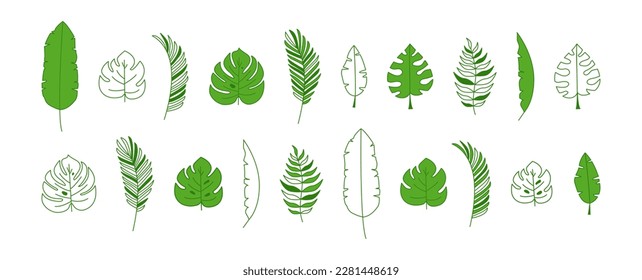 Green palm leaf, jungle tropic plant vector icon, flat and line design. Summer set isolated on white background. Exotic simple illustration