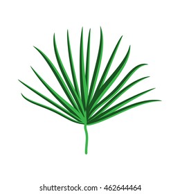 Green Palm Leaf on White Background. Vector Illustration. EPS10