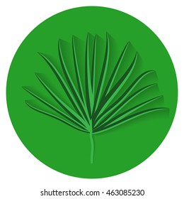 Green Palm Leaf on White Background. Vector Illustration. EPS10