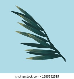
green palm leaf for printing