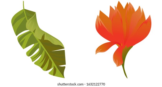 Green Palm Leaf. Red Amaryllis. Vector illustration. Isolated illustration element. Floral botanical flower. Wild leaf wildflower isolated. Exotic tropical hawaiian jungle.