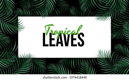 Green Palm Leaf Tropical Background. Concept Natural Realistic Template for advertising web social media and fashion ads. Vector illustration.