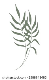 Green palm leaf tropical hand drawing.Vector illustration.
