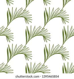 Green palm leaf tropical seamless background. Jungle botanical floral illustration. Vector line drawn tropical leaves. Hand drawn contour sketch on white background.