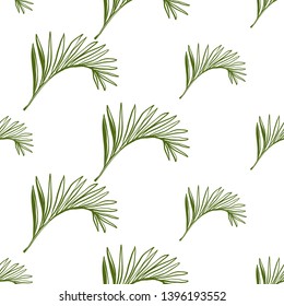Green palm leaf tropical seamless background. Jungle botanical floral illustration. Vector line drawn tropical leaves. Hand drawn contour sketch on white background.