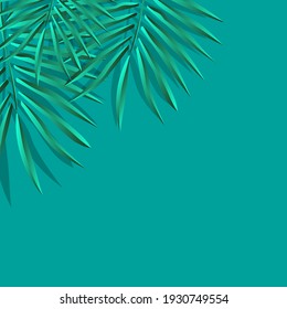 Green Palm Leaf Vector For Background. Tropical Palm Frond Frame. Summer Tropical Leaves. Summer Greeting Cards