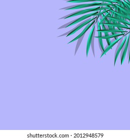 Green Palm Leaf Vector For Background. Tropical Palm Frond Frame. Summer Tropical Leaves. Summer Greeting Cards