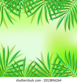 Green Palm Leaf Vector For Background. Tropical Palm Frond Frame. Summer Tropical Leaves. Summer Greeting Cards