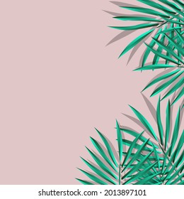 Green Palm Leaf Vector For Background. Tropical Palm Frond Frame. Summer Tropical Leaves. Summer Greeting Cards