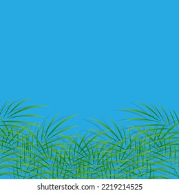 Green Palm Leaf Vector For Background. Tropical Palm Frond Frame. Summer Tropical Leaves. Summer Greeting Cards