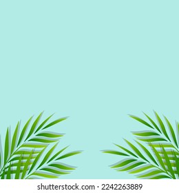 green palm leaf vector for background. Tropical palm frond frame. Summer tropical leaves. summer greeting cards 