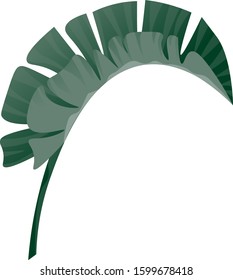 Green Palm Leaf. Vector illustration. Isolated illustration element. Floral botanical flower. Wild leaf wildflower isolated. Exotic tropical hawaiian jungle.