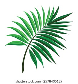 green palm leaf vector with white background