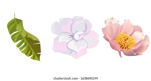 Green Palm Leaf. White Camellia. Pink Peony. Vector illustration. Isolated illustration element. Floral botanical flower. Wild leaf wildflower isolated. Exotic tropical hawaiian jungle.