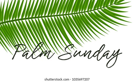 Green Palm leafs vector icon. Vector illustration for the Christian holiday. Palm Sunday text handwritten font. For postcards, design, , prints, decoration, label, , template