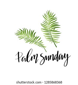 Green Palm leafs vector icon. Vector illustration for the Christian holiday. Palm Sunday handwritten phrase. Calligraphy quote on white background