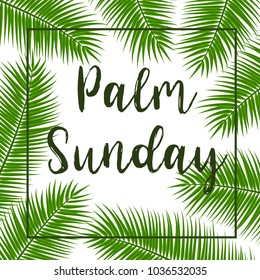Green Palm leafs vector square frame. Vector illustration for the Christian holiday. Palm Sunday text handwritten font.