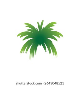 green palm leaves icon vector, coconut tree
