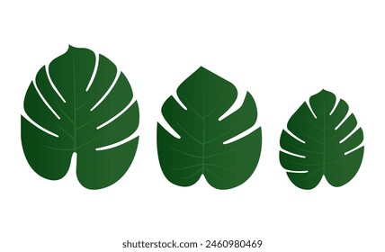 Green Palm Leaves Isolated On White Background. Vector Illustration