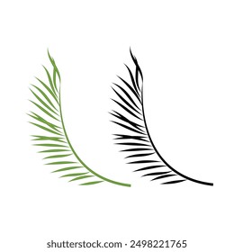 Green palm leaves isolated on white background. tropical foliage. palm tree leaf silhouette illustration