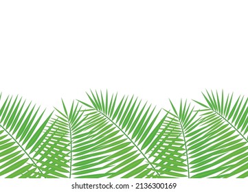 green palm leaves on white background - vector illustration
