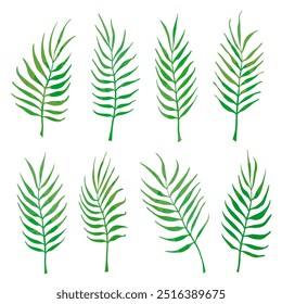 Green palm leaves on a white background. Vector set of curved branches. Palm leaves, bending twigs. Vector illustration.