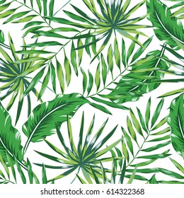 Green Palm Leaves On White Background Stock Vector (Royalty Free ...