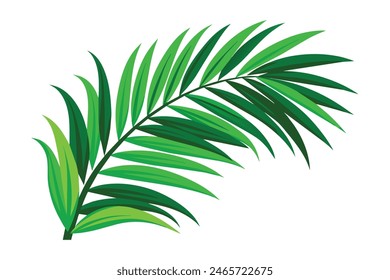 Green palm leaves realistic corner, flat vector illustration