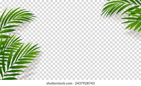 Green Palm Leaves with Shadow silhouette on transparent background,Element Tropical Coconut Leaf overlay for wall background,Vector  nature object decoration for Summer banner or card	
