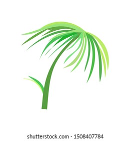 green palm stalk white background. vector illustration