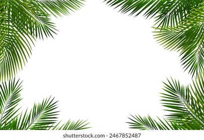 Green Palm Tree Branch Frame 
With Gradient Mesh, Vector Illustration