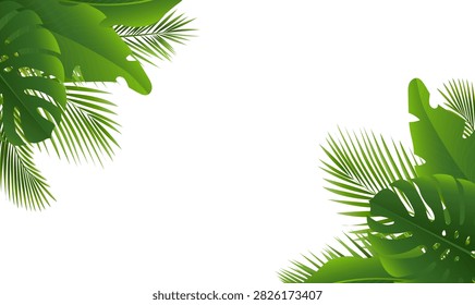 Green Palm Tree Branch Frame White Background Vector Illustration