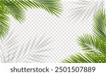 Green Palm Tree Branch And Isolated Transparent Background With Gradient Mesh, Vector Illustration