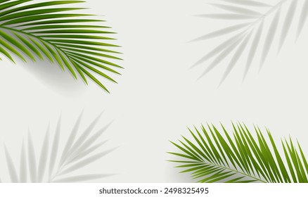 Green Palm Tree Branch Isolated Background With Gradient Mesh, Vector Illustration