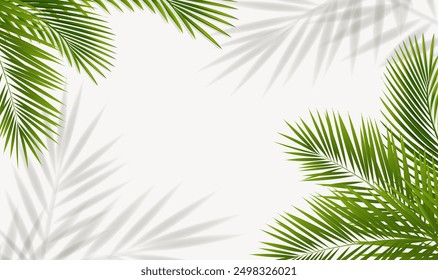 Rama verde de la palmera y fondo aislado con la malla del gradiente, Ilustración vectorial