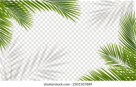 Green Palm Tree Branch And Isolated Transparent Background With Gradient Mesh, Vector Illustration